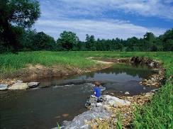 Stream Restoration