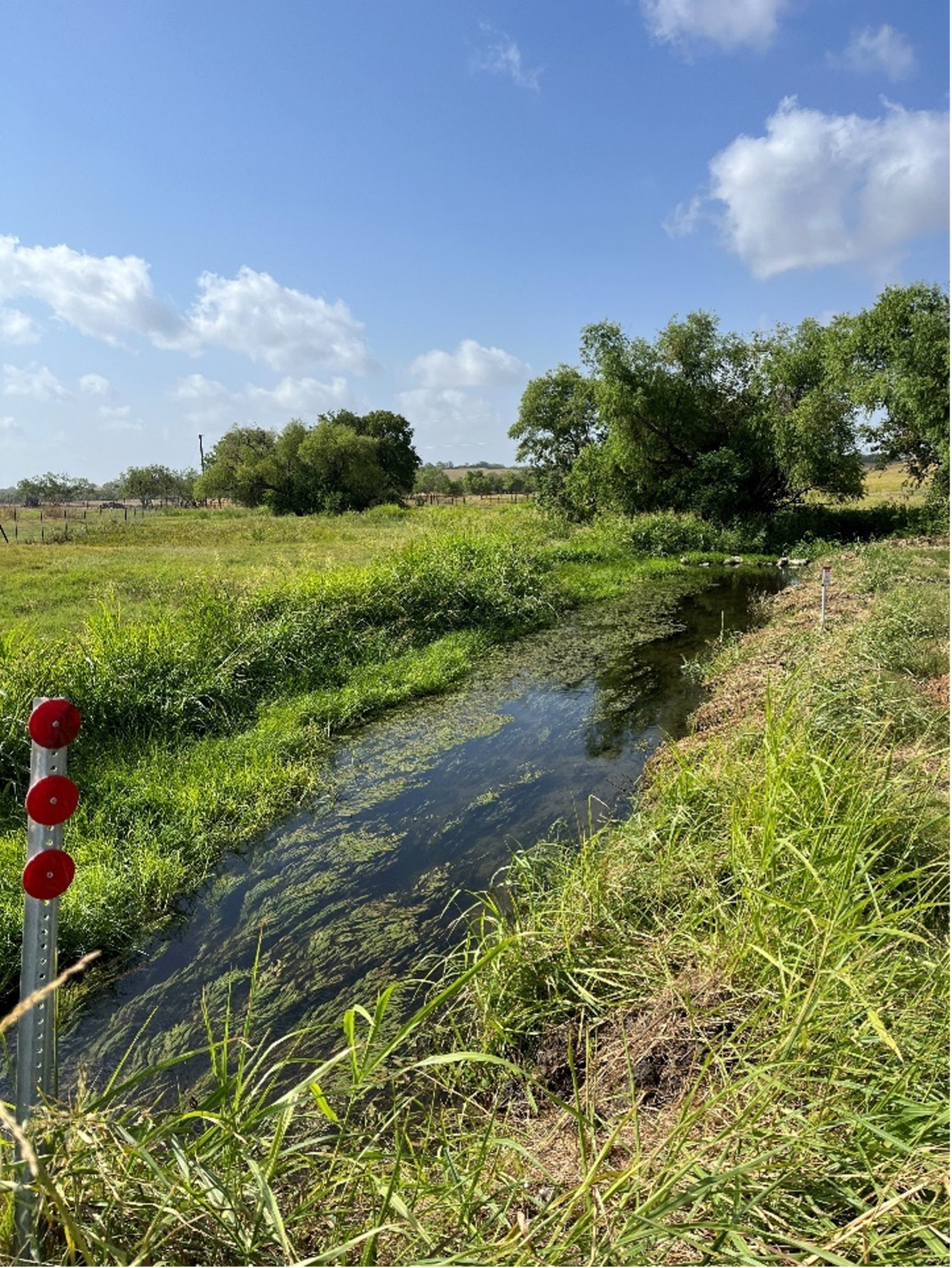 Clean creek