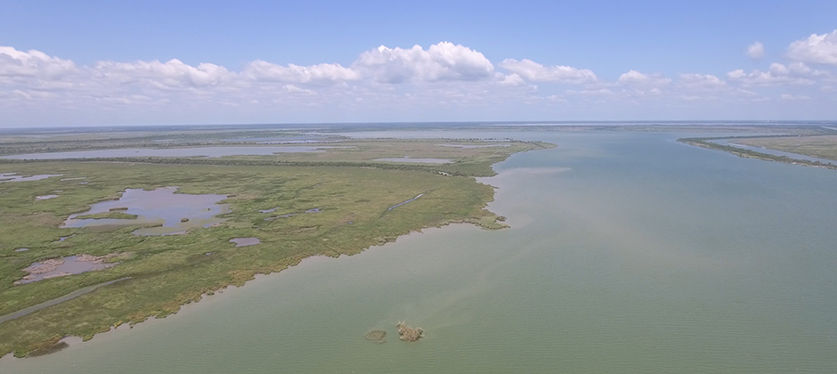 San Antonio River Estuary