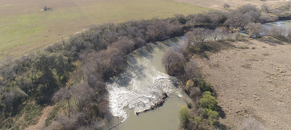 Tree debris damming river.