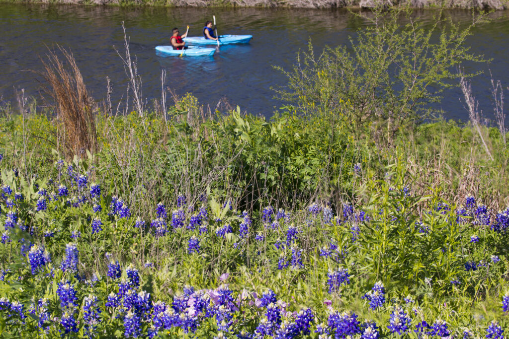 Kayaks and bluebonnets on San Antonio River