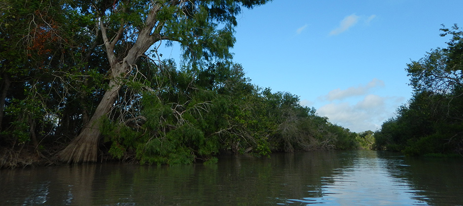 San Antonio river