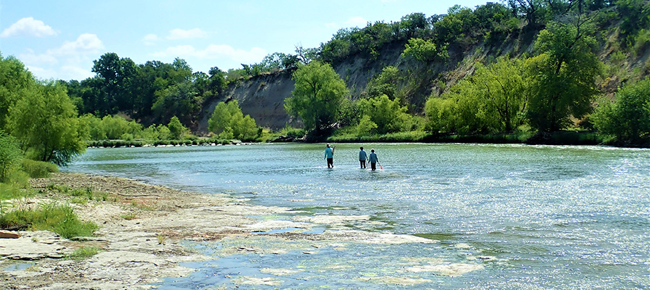 Ecologists wading in San Antonio River