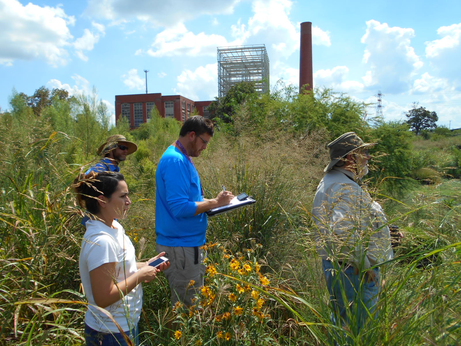 Ecologists working in the field