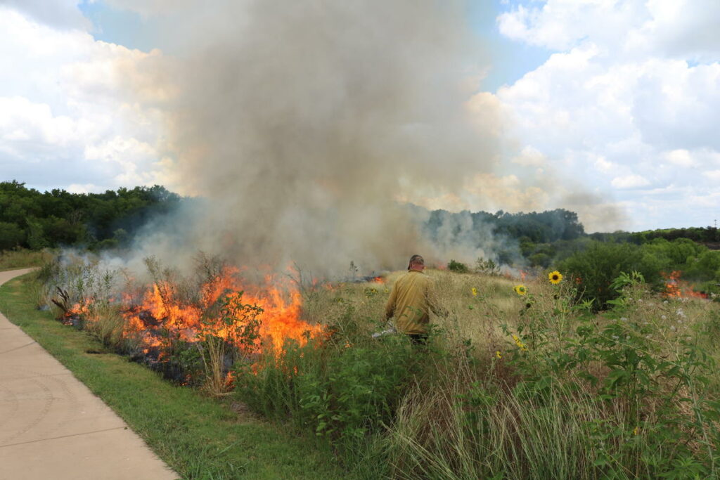 Controlled burn in action
