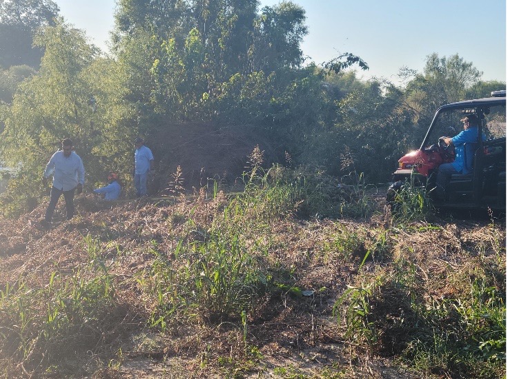 Crews working on natural vegetation