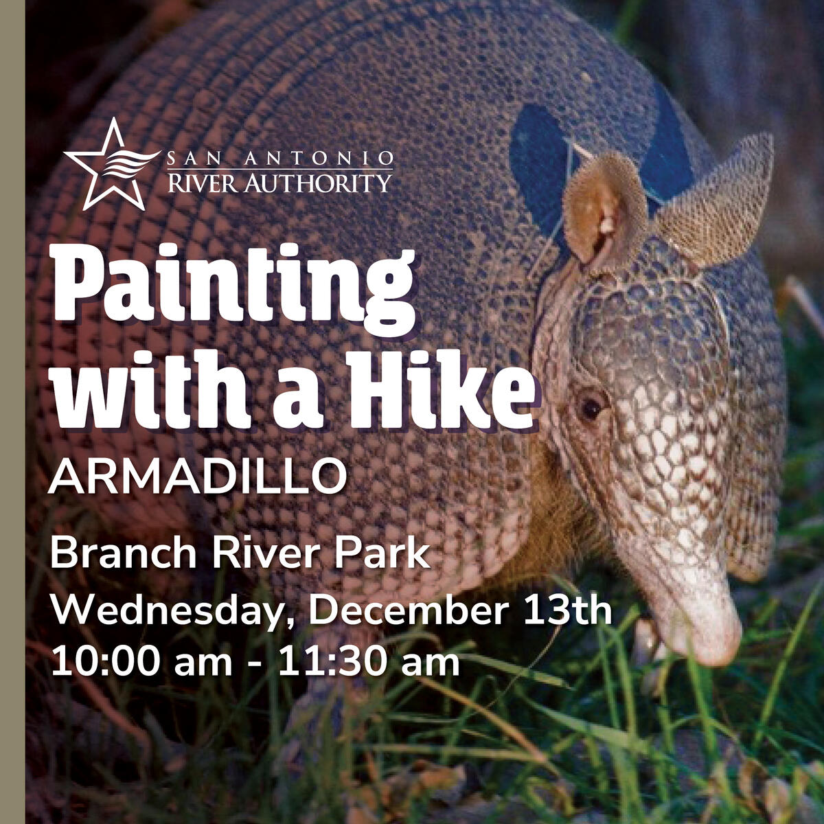 Painting with a Hike Armadillo