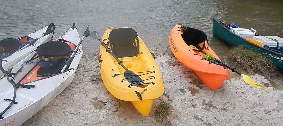 Kayaks lined up on shore