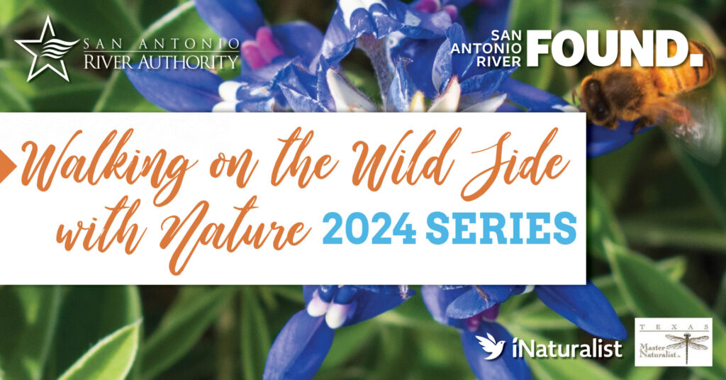 Walking on the Wild Side with Nature 2024 Series