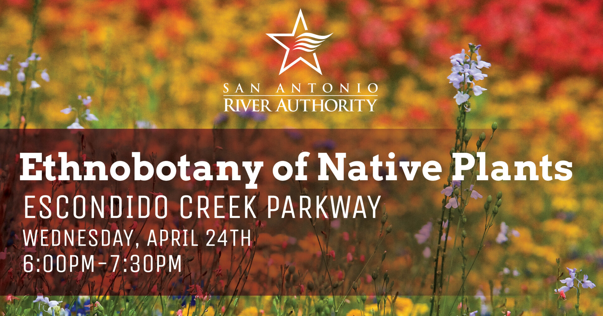 Ethnobotany of Native Plants at Escondido Creek Parkway