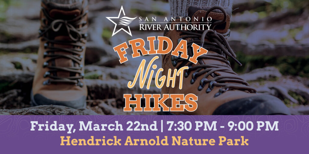 Friday Night Hike at Hendrick Arnold Nature Park