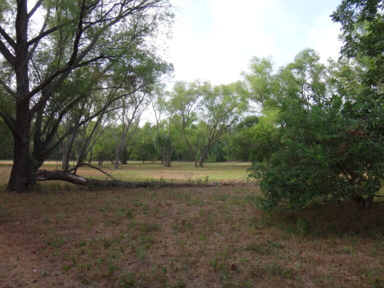 Hendrick Arnold Nature Park