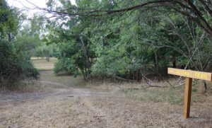 Medina Walking Trail at Hendrick Arnold Park