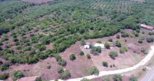 Aerial view of Trueheart Ranch Nature Park