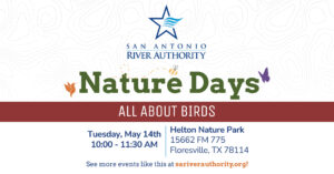 Nature Days: All About Birds