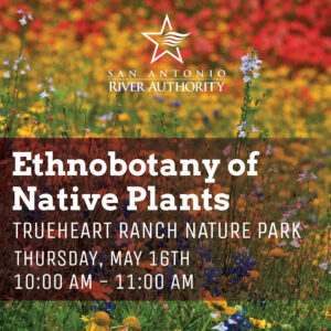 Ethnobotany - Trueheart Ranch Nature Park May 16