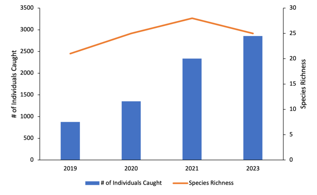 Chart depicting the increase in fish species compared to the amount caught.