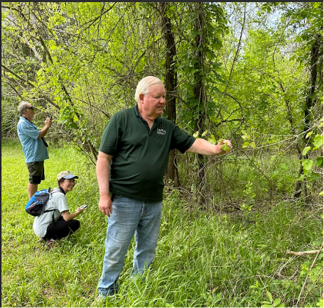 Master Naturalists make observations near trees