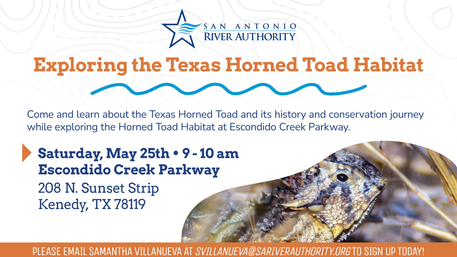 Exploring the Texas Horned Toad Habitat