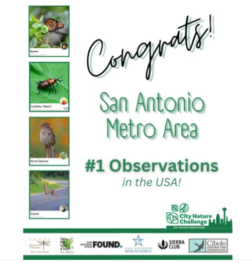 Congrats San Antonio Metro Area #1 in Observations