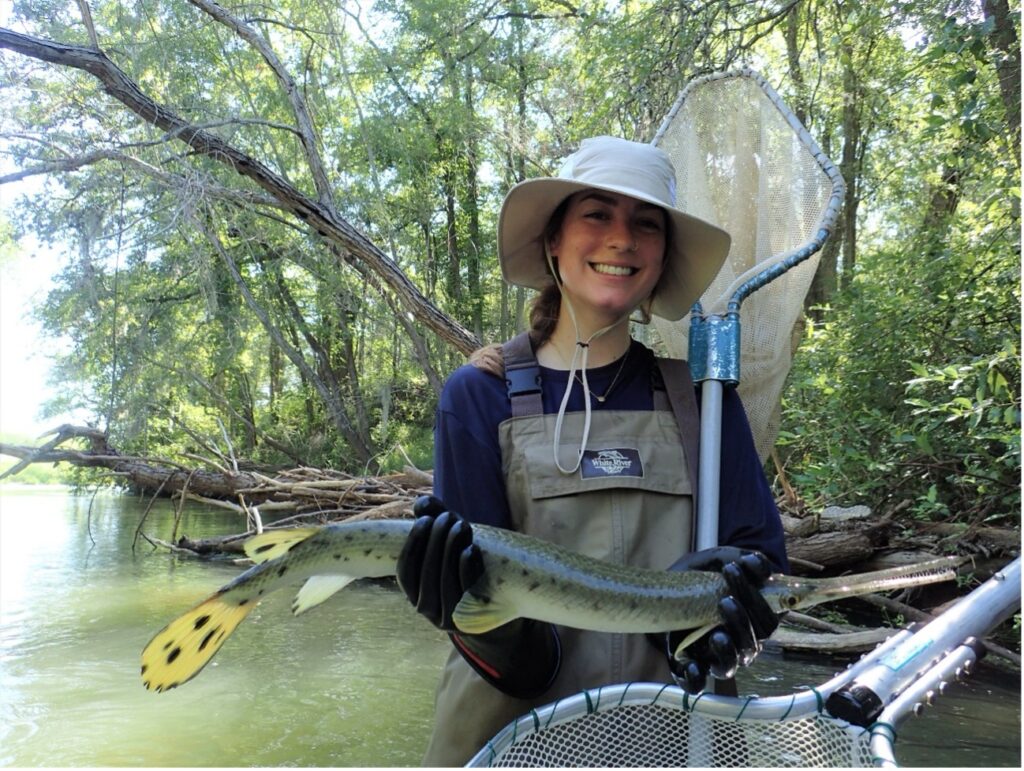 Spotted Gar fish held by Scientist