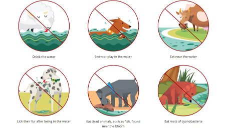 Informational graphic advising being in the river.