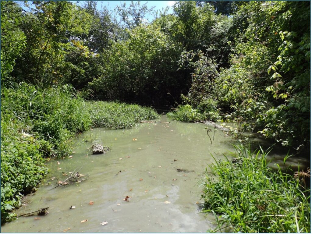 San Antonio River