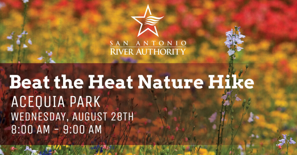 Beat the Heat Nature Walk Acequia Park