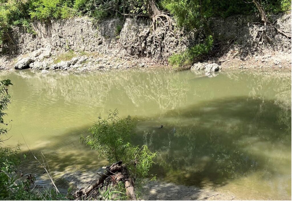 San Antonio River Basin