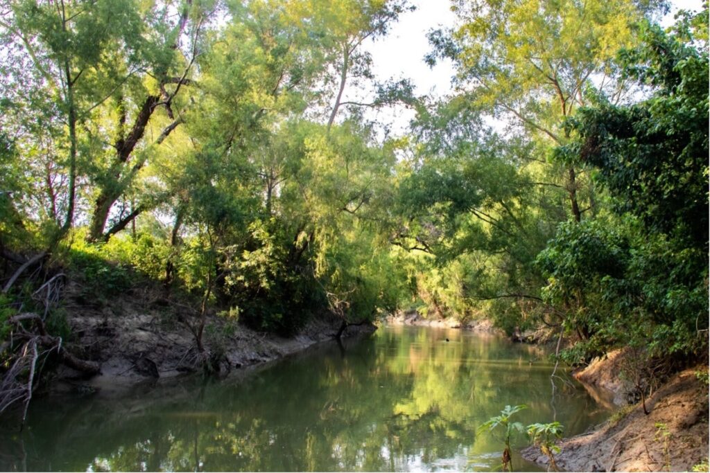 San Antonio River Basin - Wilson County