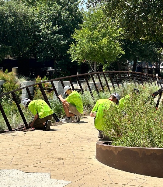 People doing landscape work on a paved path.
