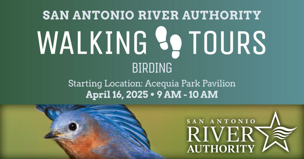 Walking Tours - Birding