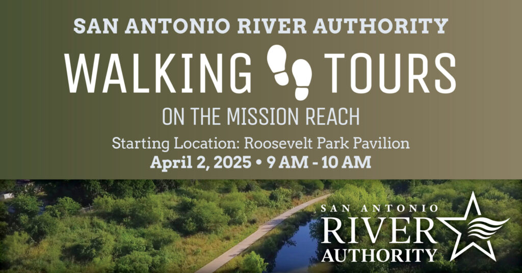 Walking Tours Promotional image