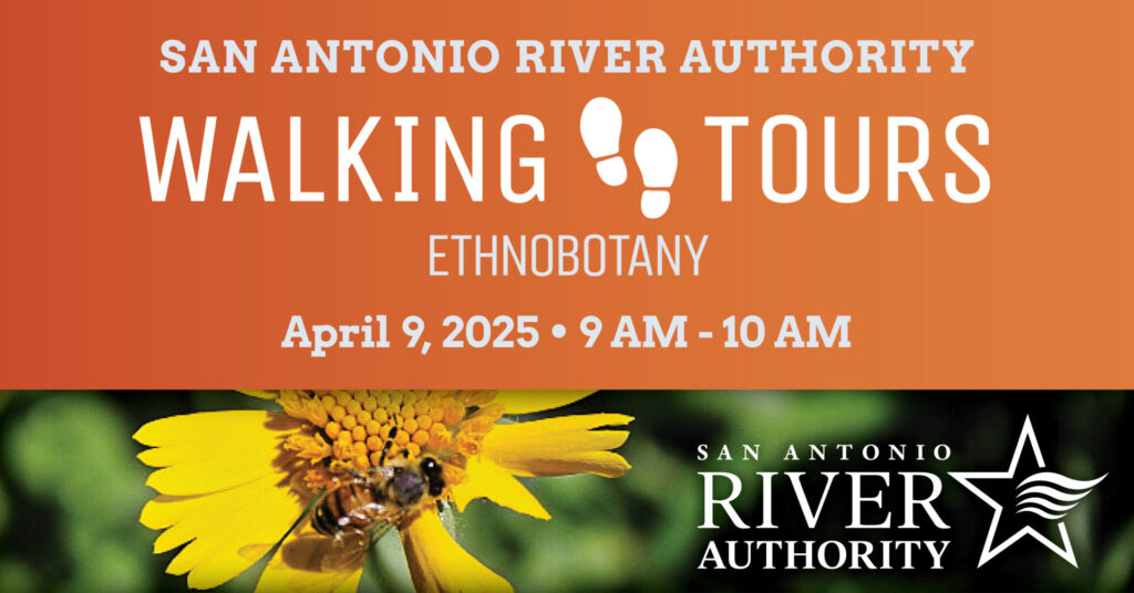 Walking Tours Ethnobotany promotional image