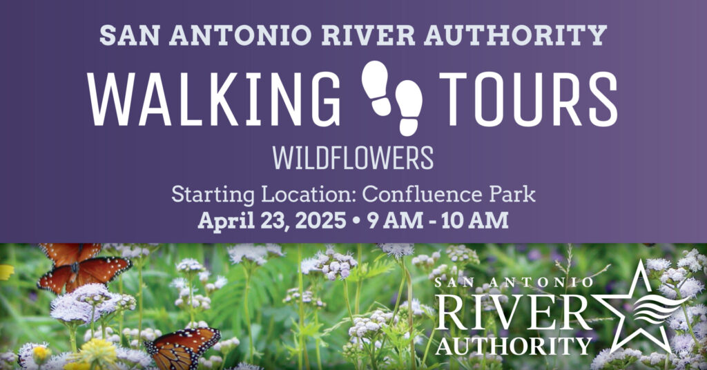 Walking Tours - wildflowers promotional image