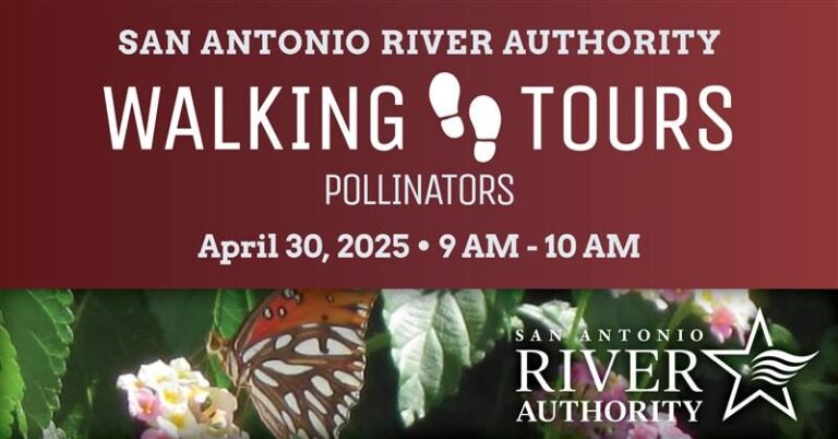 Walking Tours - Pollinators