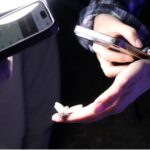 A hand holds a phone to observe a fly.