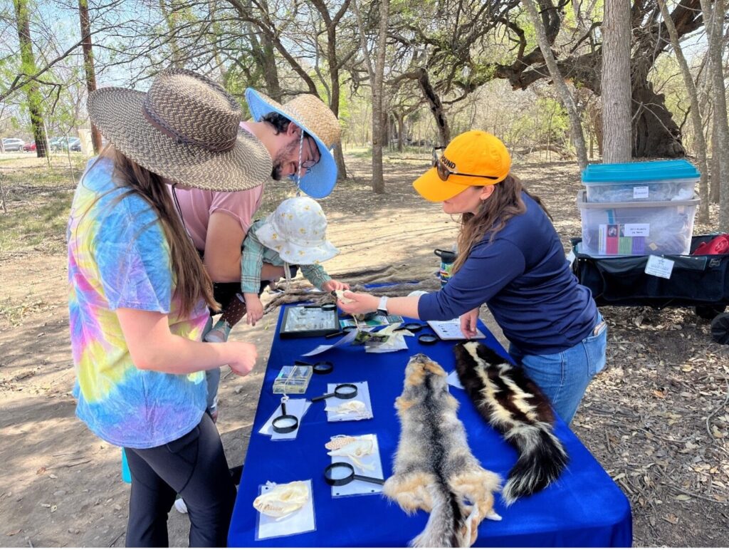 A group of people gather around a table filled with animal pelts and items to observe.