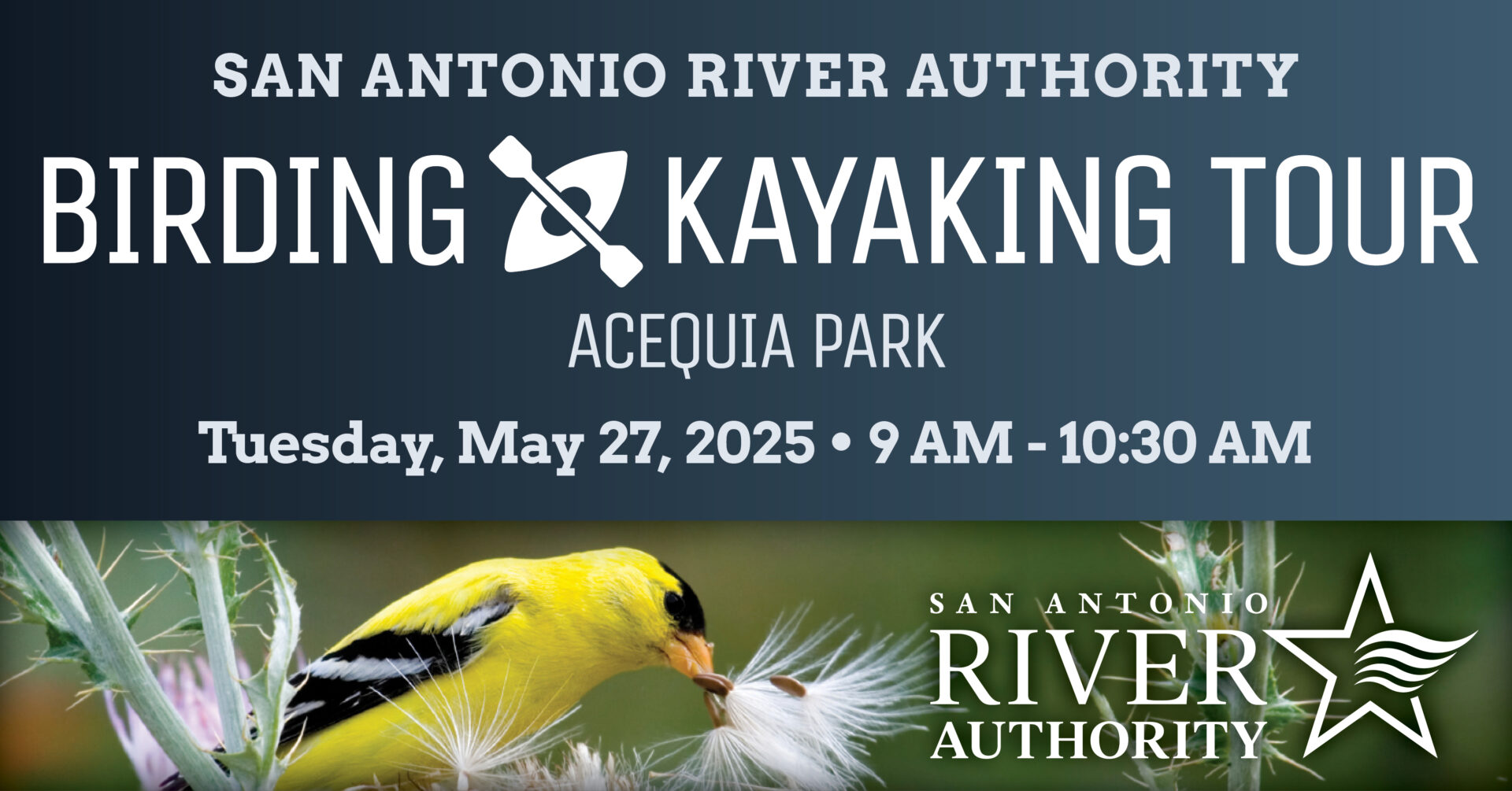Birding Kayaking Tour