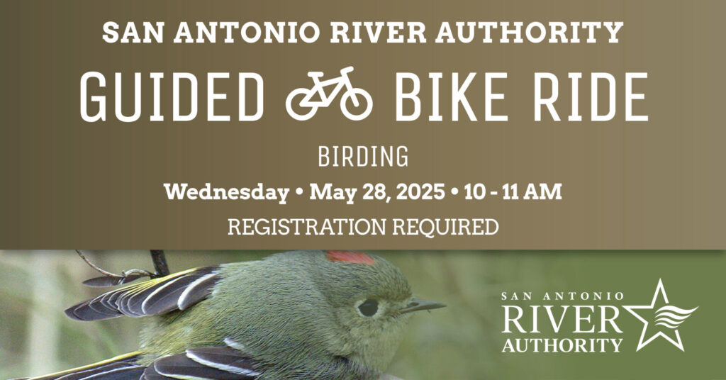 Guided Bike Ride - Birding
