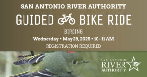 Guided Bike Ride - Birding