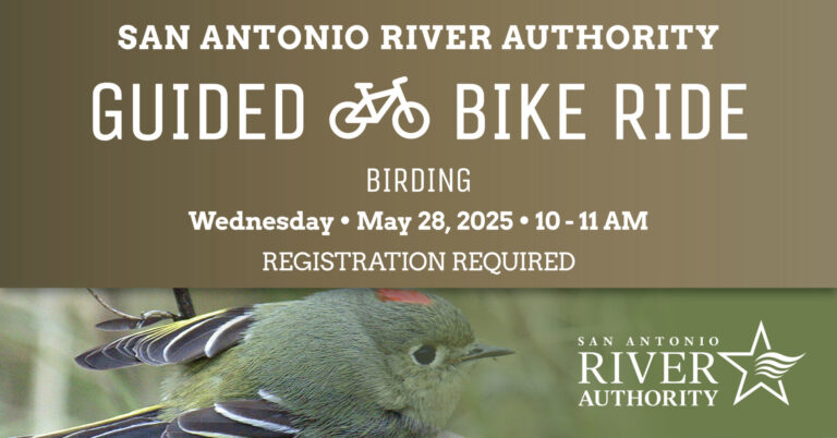 Guided Bike Ride - Birding