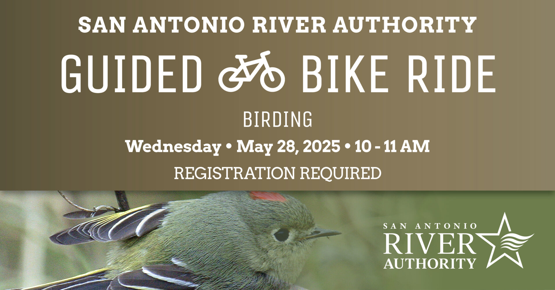 Guided Bike Ride - Birding