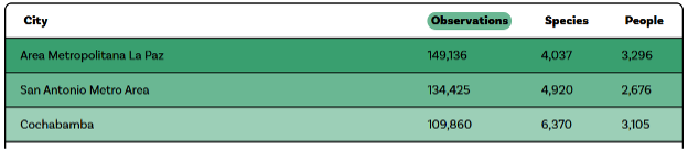 A chart showing the number of observations conducted during the city nature challenge