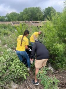 A group of volunteers clearing trash from shrubs