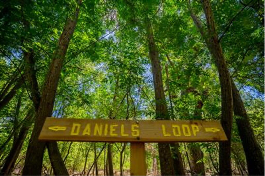 Park signage that says "Daniels Loop"