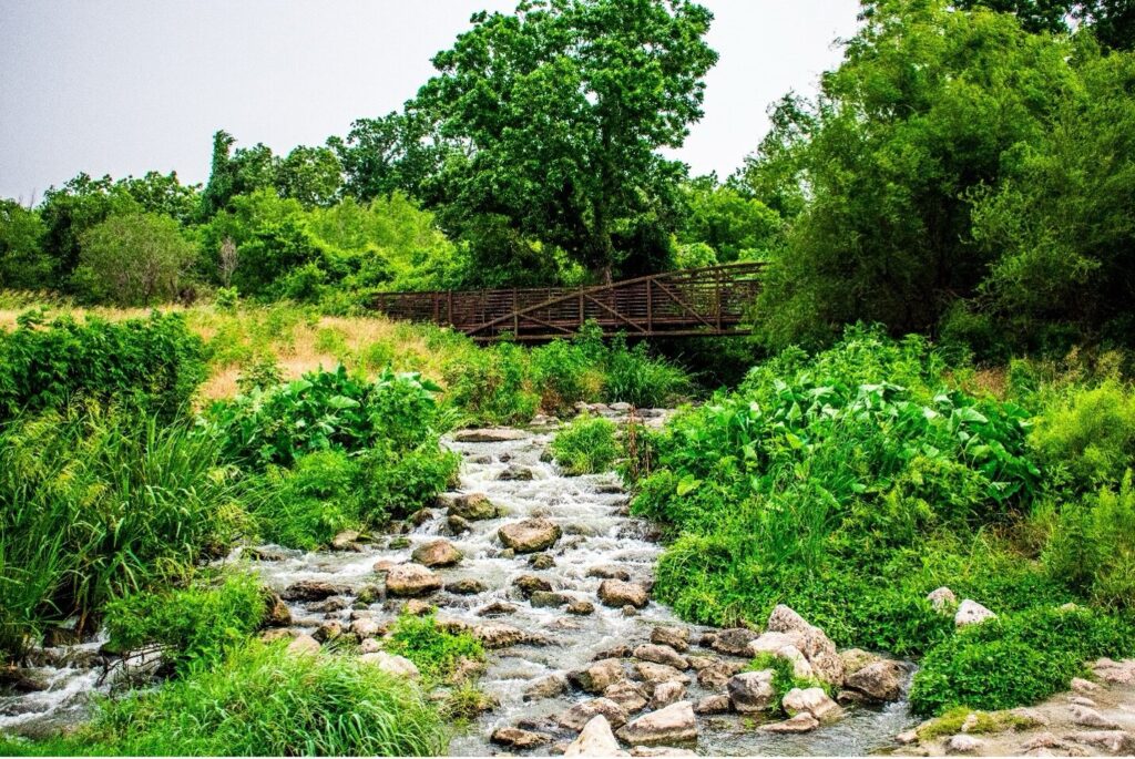 San Antonio River photo by Chelsea Lynee Lahey.
