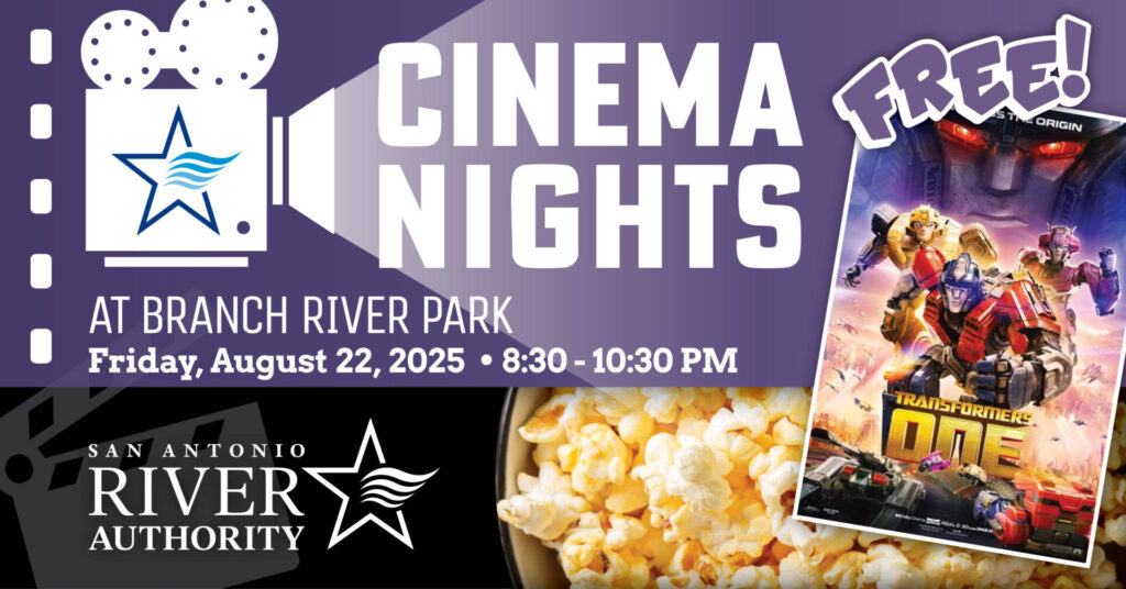 Cinema Nights at Branch River Park