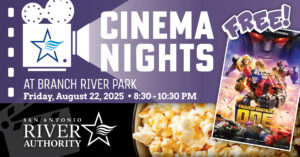 Cinema Nights at Branch River Park