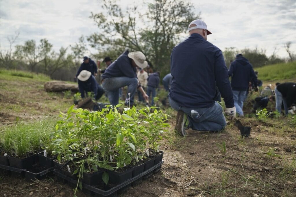 Volunteers and staff plant native plants at Trueheart Ranch Nature Park